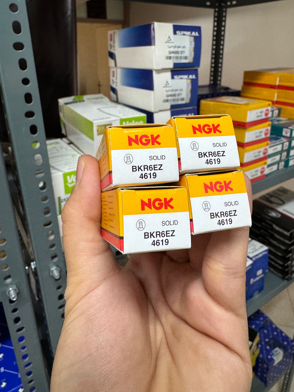 شمع NGK4619